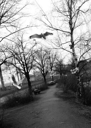 kuvasyltty3_orupold-320x450-4361506